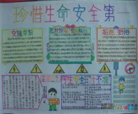 安全教育手抄报：祖国的未来