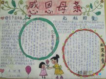 感恩节手抄报：一杯牛奶的爱