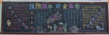 防溺水黑板报：游泳安全要点
