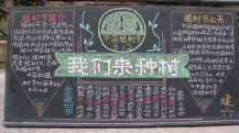 植树节黑板报：名贵树木——金花茶