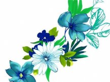 黑板报花边：鲜花