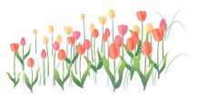 黑板报花边：花边设计图