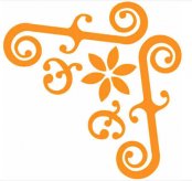 黑板报花边：黄花边