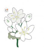 黑板报花边：白色花边