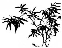 黑板报花边：竹叶花边