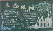 植树节黑板报：植树节活动