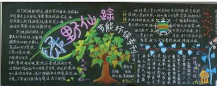 植树节黑板报：环境灾难