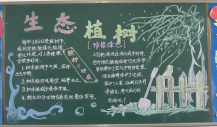 植树节黑板报：植树节倡议书