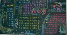 植树节黑板报：我看植树节