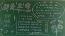 防溺水黑板报：防止溺水注意事项