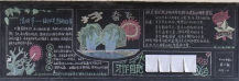 清明节黑板报：缅怀与哀思