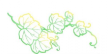 黑板报花边：荧光绿藤