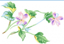 黑板报花边：夏天的藤条