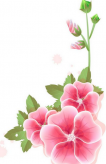 黑板报花边：盛开的花朵