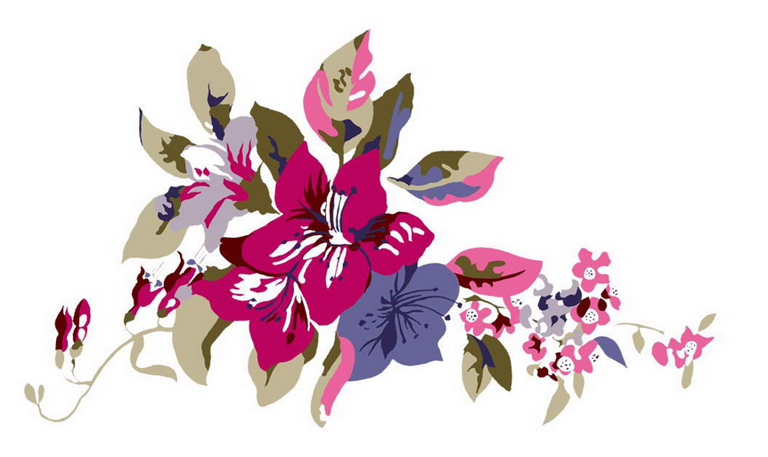 黑板报花边：紫荆花花边