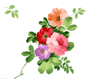 黑板报花边：山茶花花边