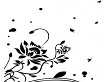 黑板报花边：荷花花边
