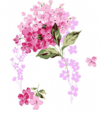 黑板报花边：绣球花花边