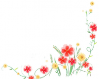 黑板报花边：花儿的嫁衣