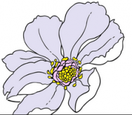 黑板报花边：手抄报简单花边图案淡色花蕊