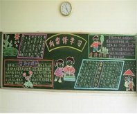 /heibanbao/xueleifeng/20190108/8944.html