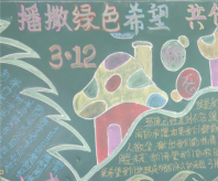 植树节黑板报：保护树木是我们的责任