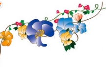 黑板报花边：夏天黑板报花边图案百花齐放