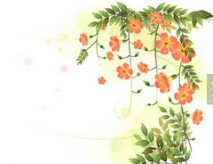 黑板报花边：好看的黑板报花边图案-石榴花