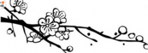 黑板报花边：梅花傲寒