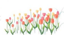黑板报花边：手抄报花边图案