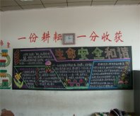 安全月黑板报：珍惜生命