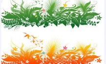 黑板报花边：黄花盛开
