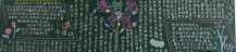 植树节黑板报：植树造林的趣闻佳话