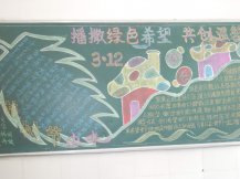 植树节黑板报：庆功栽杨