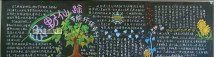 植树节黑板报：水杉