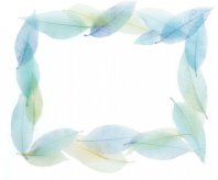 黑板报花边：紫色花边