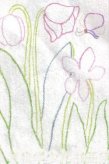简笔画花：鸢尾花