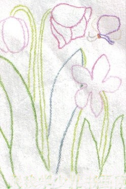 简笔画花：鸢尾花