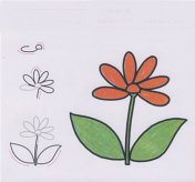 简笔画花：铃兰