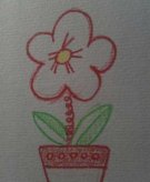 简笔画花：美丽的鲜花