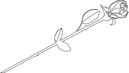 鲜花