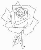 简笔画花：寻找海棠花