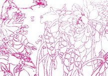 简笔画花：美丽的金银花