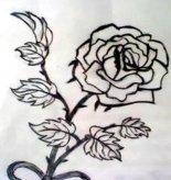 简笔画花：勾勒牡丹花的画法步骤