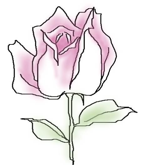 简笔画花：