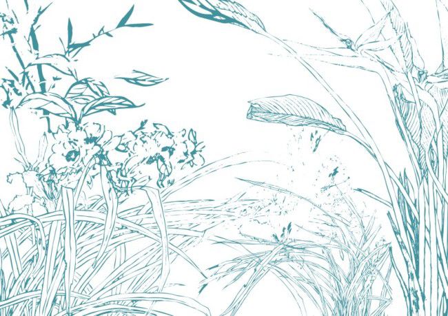简笔画花
