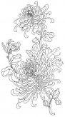 简笔画花：《菊石山鹊》的绘画步骤