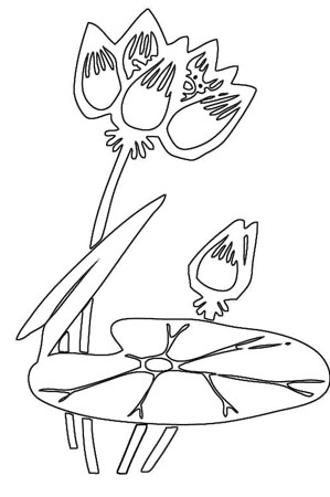 花
