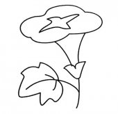 简笔画花：国色天香