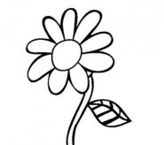 简笔画花：空谷幽兰